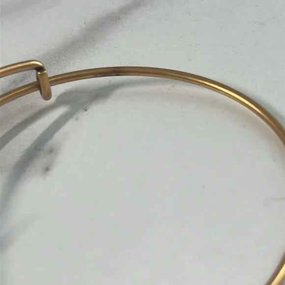 Pre owned Alex and Ani 2014 Charm Bangle Bracelet - Picture 10 of 13